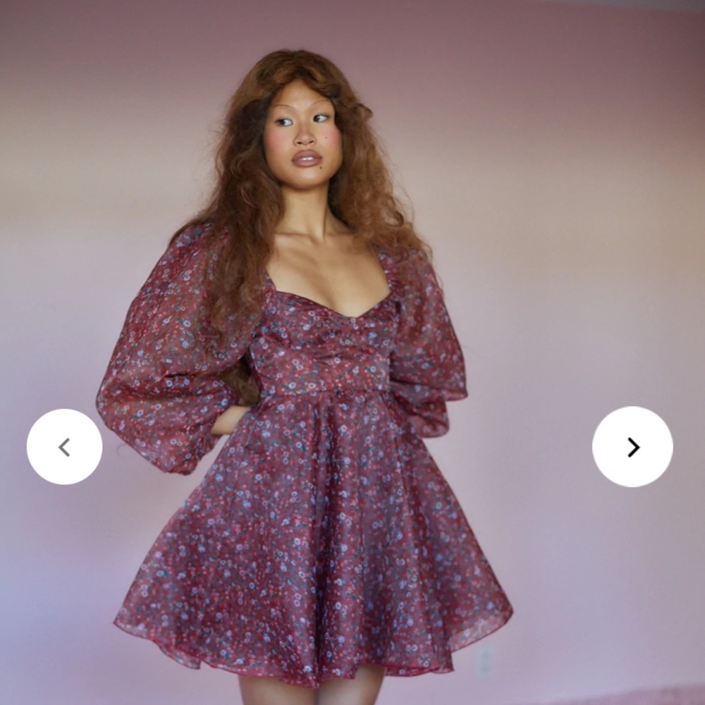 NWT Selkie Crimson Princess Dress